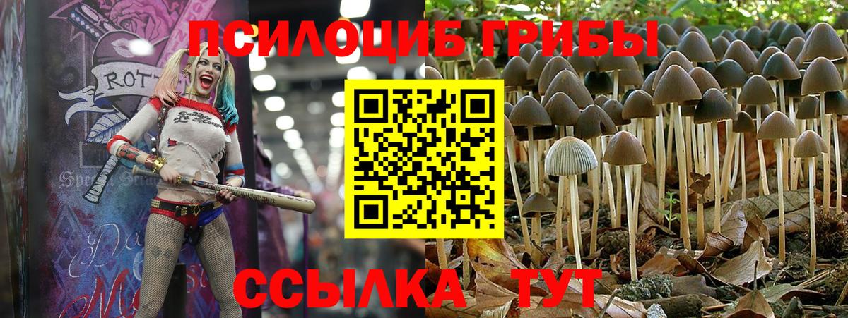 Галлюциногенные грибы мухоморы  Вход с VPN  Сунжа  Галлюциногенные грибы Cubensis 