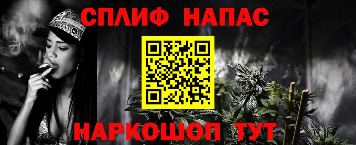 Конопля ГИДРОПОН Сунжа